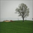 느티나무목장 이미지