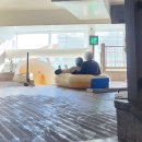 (주)디오 | 12월의 "클럽디오아시스" 내돈내산 찐 후기 (최저가 할인정보 포함)