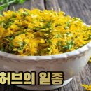 광민약국 | 우울증에 좋은 영양제 추천! 세인트존스워트 효과와 가격, 부작용 및 후기