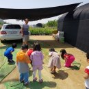 희민농장 이미지