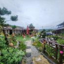 행정사 김성일 사무소 이미지