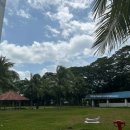 야자수 나라에서 만난 우리 이미지