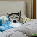 시대장모텔 이미지