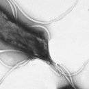 부산진구치매안심센터 이미지