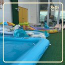 날라커피 | [천안] 노키즈존 / 수영장있는 애견카페 개뜰날라운지 / 멍푸치노 솔직후기 / 주차장