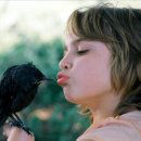 아리랑시네 미디어센터 이미지