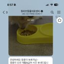 원러브동물의료센터 이미지