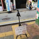 세광사진관 - 창원시 마산합포구 노산북8길 18 | 세광사진관