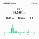 걷기운동을 태풍카눈 도 못말려 새벽운동후 홍고추세척16,255보 12.14km 이미지