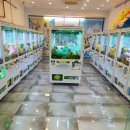 인형뽑기방 이미지