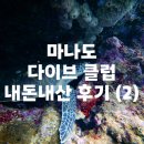 황제비디오 | [마나도] 여행후기 (6) 마나도 다이브 클럽 2일차 3탱크 스쿠버 다이빙 가격 내돈내산 솔직후기