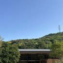 형농원 | 전남 완도 깔끔하고 힐링되는 글램핑 추천 [이든관광농원글램핑]