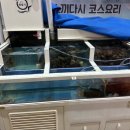 황제세꼬시 이미지