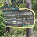 여주숲주록리
