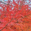 부산좌1동우체국 이미지