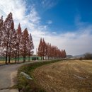 대산체육공원 이미지