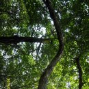 질재로 2 이미지