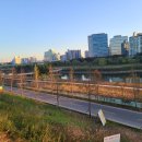 인라인스케이트장 옆 이미지