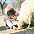 진산목장 이미지