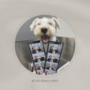 범어애견 이미지