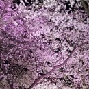 가비원모텔 이미지