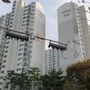 야채왕과일왕