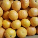 지영이네 이미지