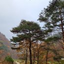 고산농장 1 이미지