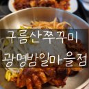 쭈꾸미가 티스토리