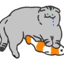 활신당