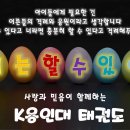 용인대 늘품 태권도 이미지