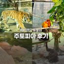 주토피아 | 에버랜드 동물원 주토피아 입장권 가격 동선 후기
