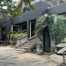 망원애견동반카페/테라스카페 ‘Uig’ 방문 후기