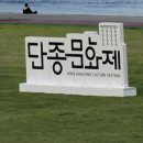 동강둔치화장실 | 영월에서 만나는 역사와 문화의 향연: 동강 둔치에서 펼쳐진 단종제 축제의 현장 후기