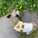 24시 쓰담쓰담 동물메디컬센터 이미지