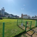 공간 포해락 | 충청도 대형견 동반 숙소 추천 - 눈치 안 보고 머무는 반려견 동반 힐링 스테이