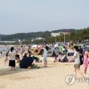 만리포해수욕장 스포츠경향