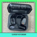 에플스포츠 | 삼성 오픈형 무선이어폰 비교 가성비 갑 실제 사용 후기
