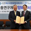 생명의줄기 이미지