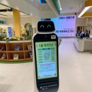 아산시립배방도서관 | [아산도서관/아이랑 가볼 만한 곳] 쑥쑥 크는 독서 습관 들이기 좋은 ‘아산시립배방도서관’