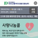 대전교통약자이동지원센터 네이버블로그