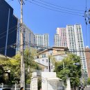 978 | 소에브스튜디오 원본 셀렉 후기 | 원본 978장, 2시간 동안 사진 고르기 가능할까?