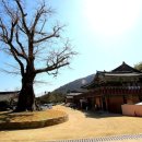 갈맷길(7코스) 이미지