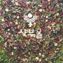 샤브올 홈플러스센텀시티점 | [센텀시티맛집] 샤브올 센텀시티점 - 평일 점심 방문 후기