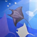 아쿠아리움 이미지