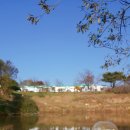 동건목장 이미지