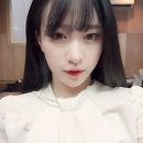 하니비디오 이미지
