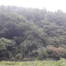 충주 행복한 농장 이미지