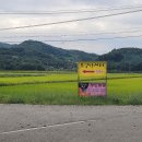 오궁낚시터 이미지