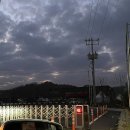 동군산농협 | 익산 농협 떡방앗간ㅣ생크림, 흑임자 찹쌀떡 오프라인 구매후기(동군산농협 디오션점)